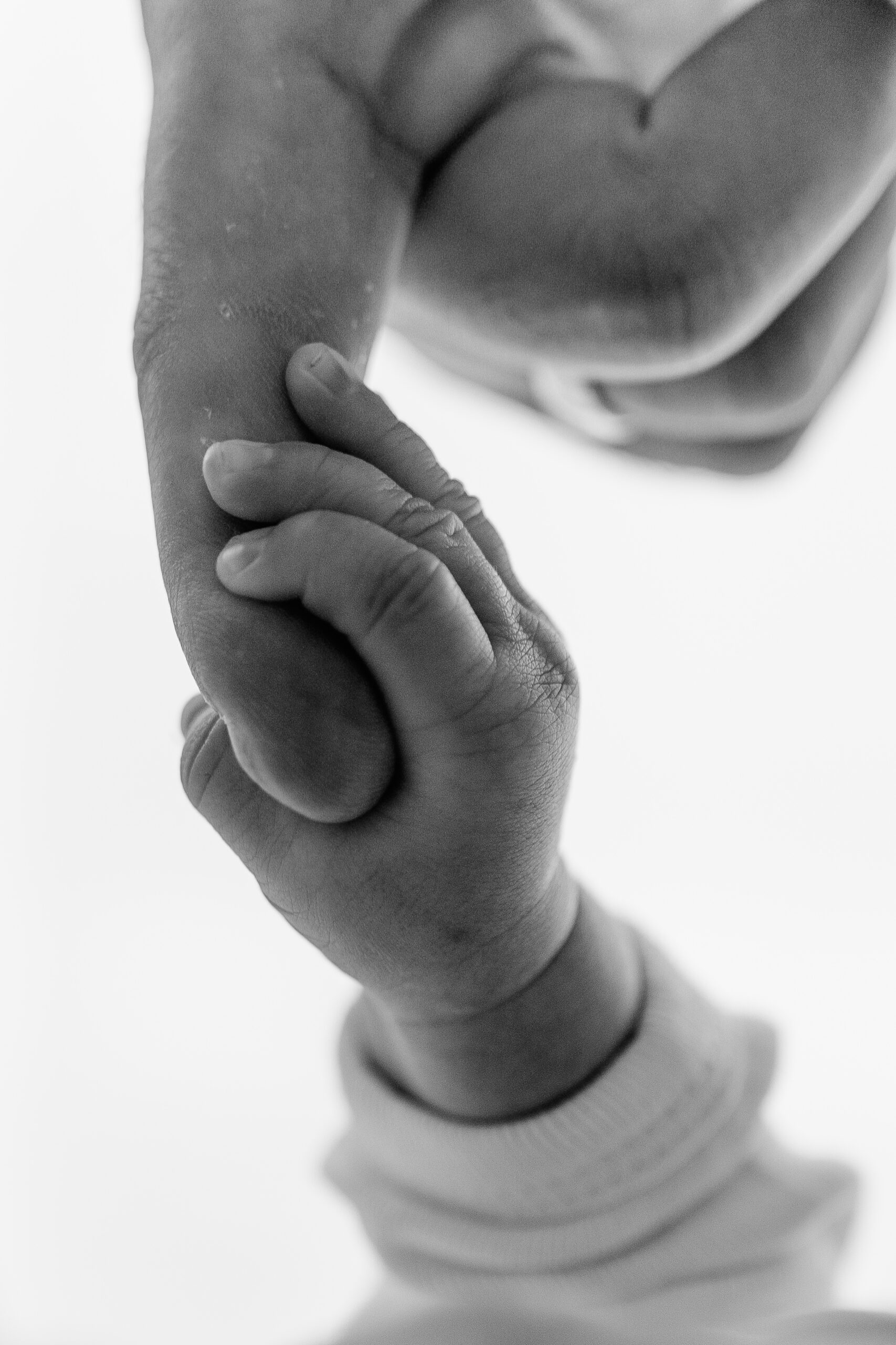 Neugeborenen-u. Familienshooting in Berlin